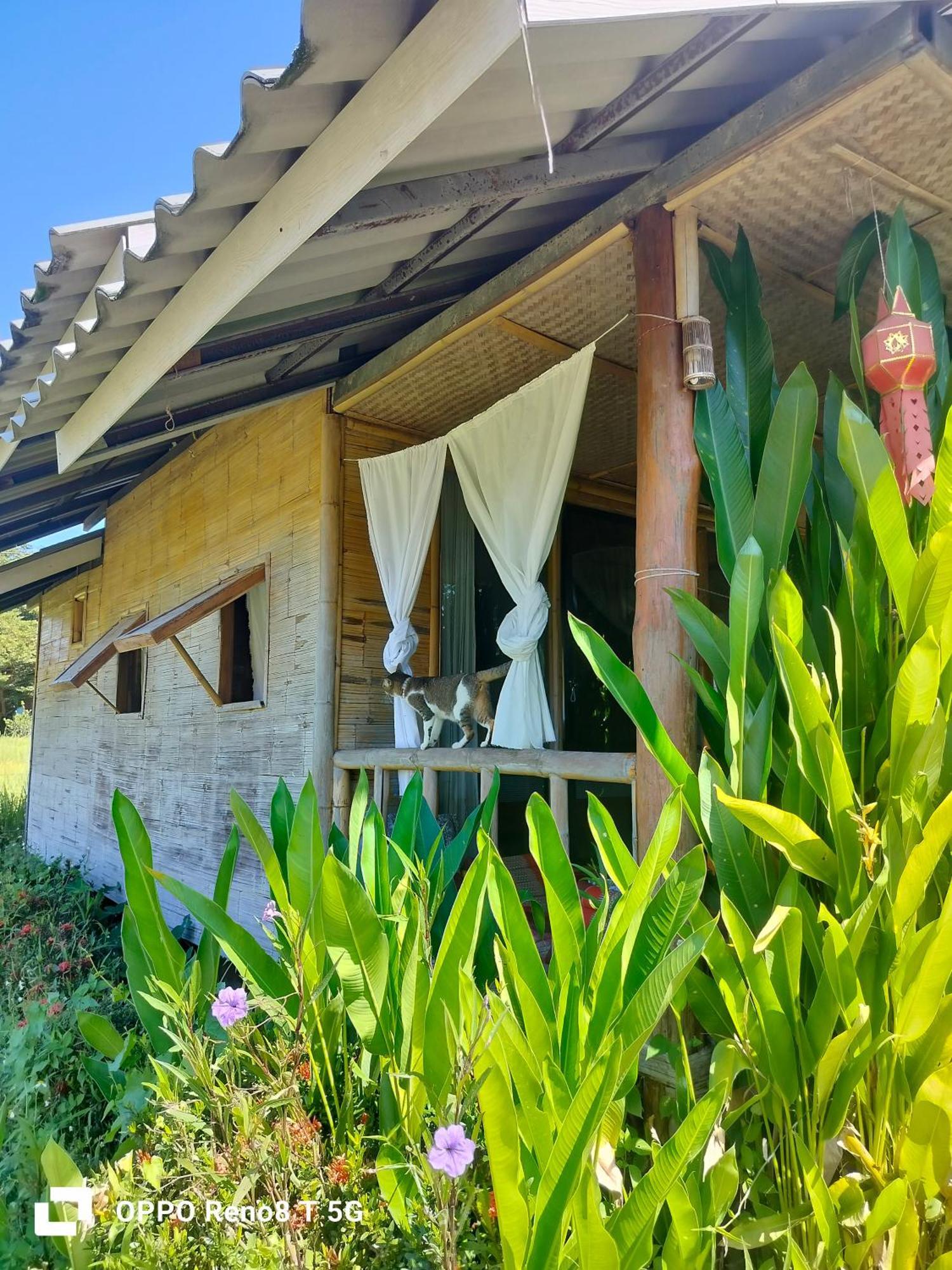 Tulip Resort Pai Exterior foto