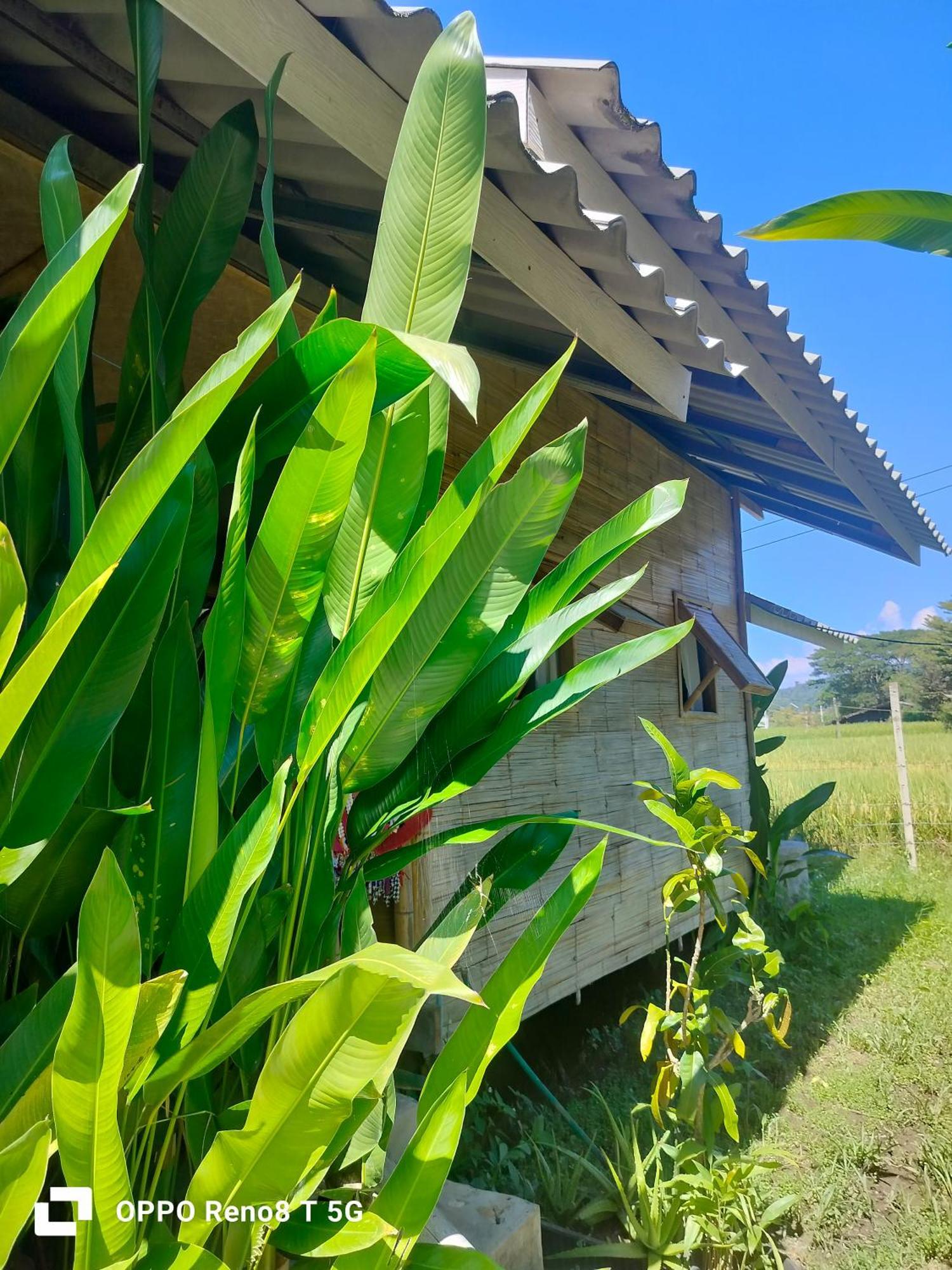 Tulip Resort Pai Quarto foto