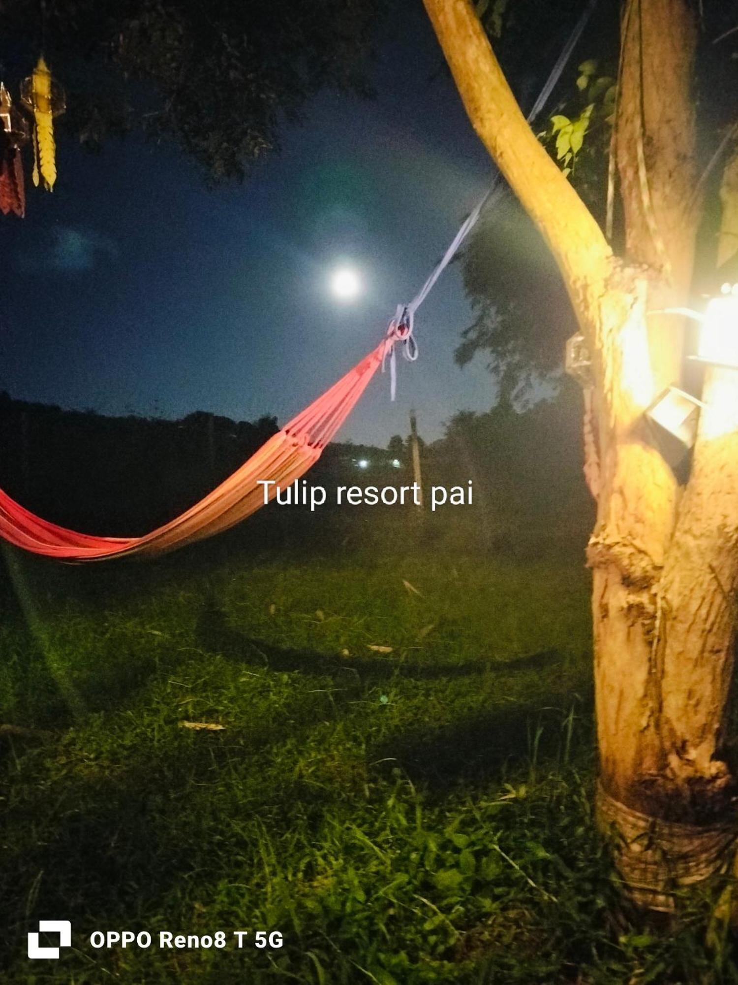 Tulip Resort Pai Quarto foto
